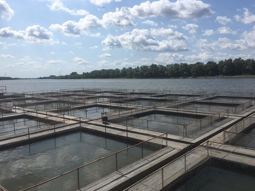 Russischer Kaviar Shop